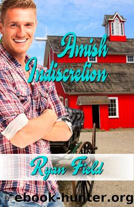 Amish Indiscretion by Ryan Field
