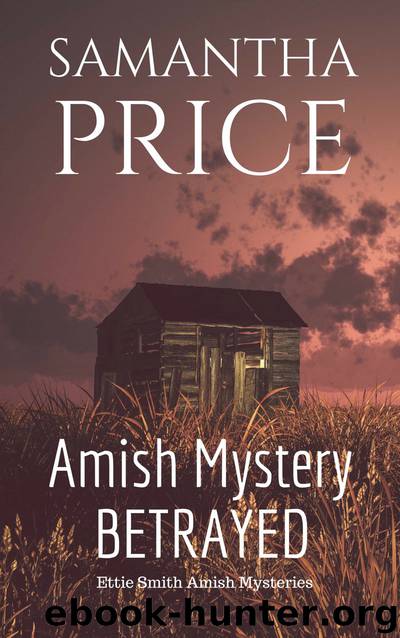Amish Mystery by Samantha Price