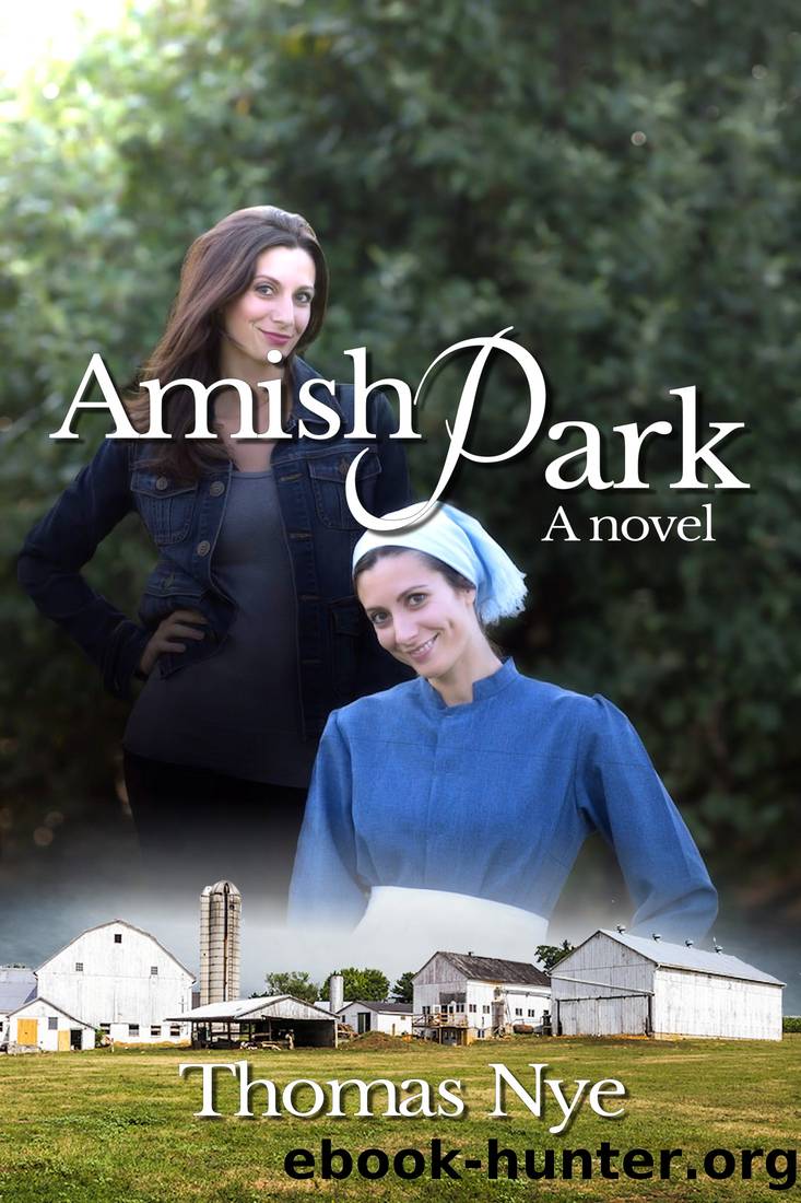 Amish Park by Thomas Nye