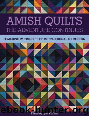 Amish Quilts by Lynn Koolish