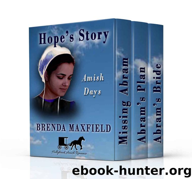 Amish Romance BOXED SET: Amish Days: Hope's Story by Brenda Maxfield