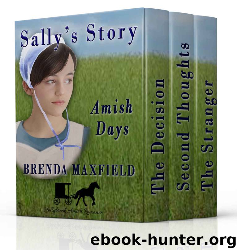 Amish Romance BOXED Set: Amish Days: Sally's Story (Hollybrook Amish Romance) by Brenda Maxfield