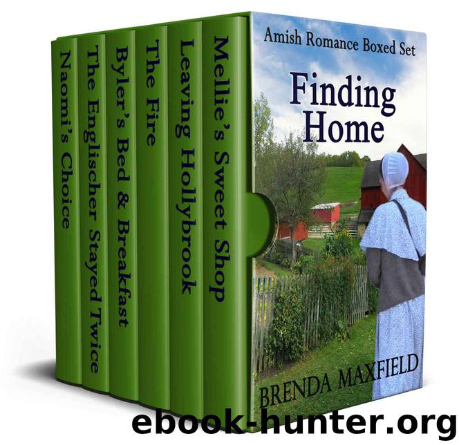 Amish Romance Box Set: Finding Home by Brenda Maxfield