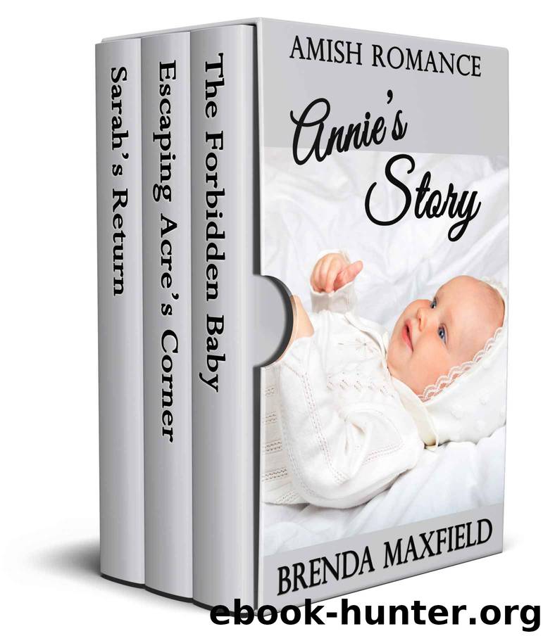Amish Romance: Annie's Story: Three Book Box Set by Brenda Maxfield