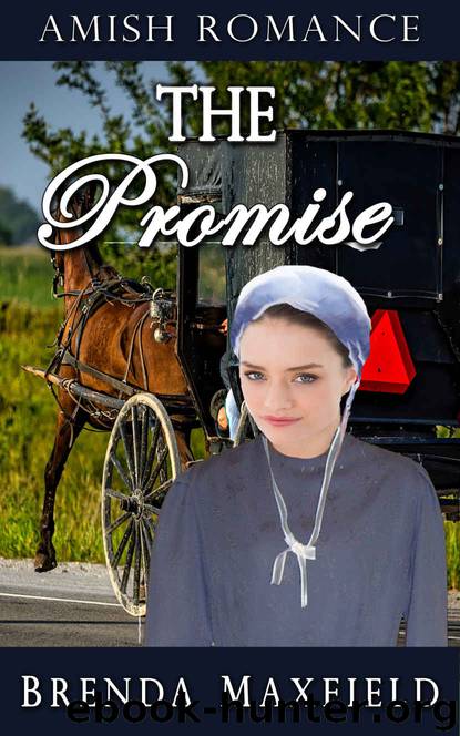 Amish Romance: The Promise (Hollybrook Amish Romance: Greta's Story Book 2) by Brenda Maxfield