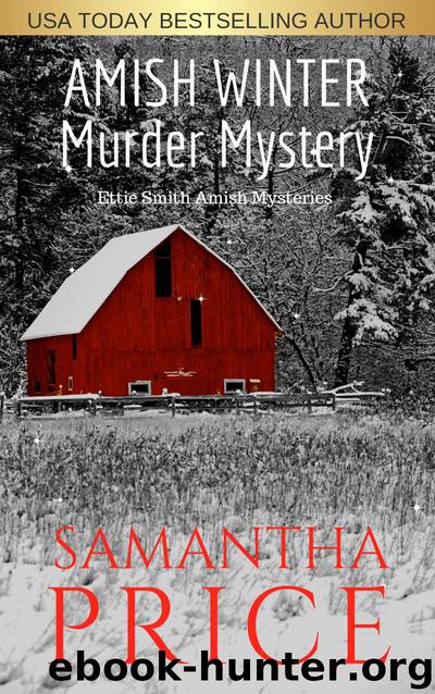 Amish Winter Murder Mystery by Samantha Price