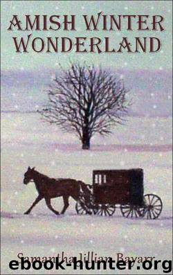 Amish Winter Wonderland: Book Two by Samantha Jillian Bayarr