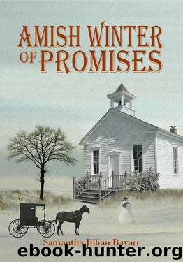 Amish Winter of Promises: Book Four by Samantha Jillian Bayarr