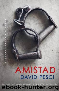 Amistad by David Pesci