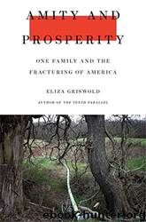 Amity and Prosperity: One Family and the Fracturing of America by Eliza Griswold
