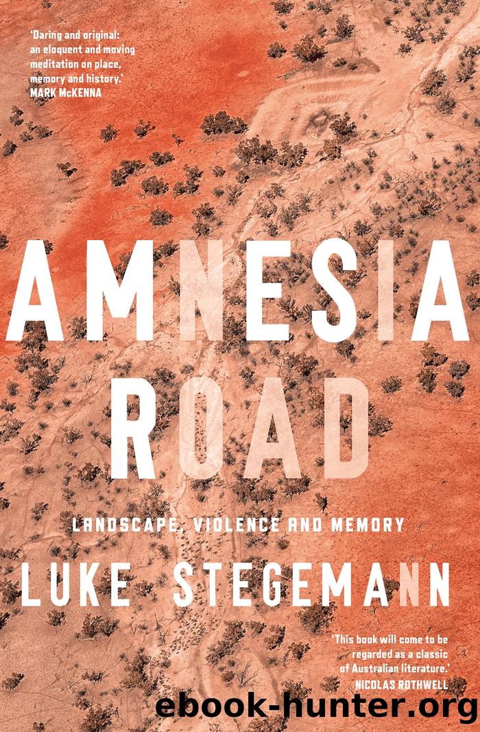 Amnesia Road by Luke Stegemann