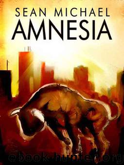 Amnesia by Sean Michael
