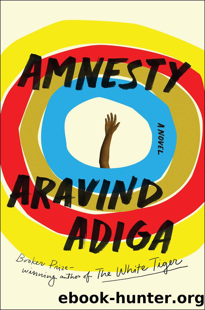 Amnesty by Aravind Adiga