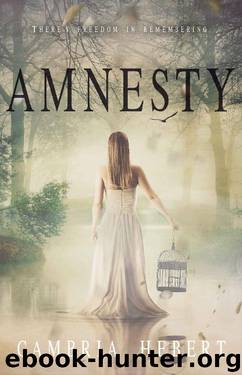 Amnesty: Amnesia Duet Book 2 by Cambria Hebert