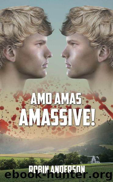 Amo, Amas, Amassive by Robin Anderson