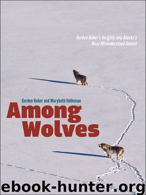 Among Wolves: Gordon Haber's Insights into Alaska's Most Misunderstood Animal by Haber Gordon & Holleman Marybeth