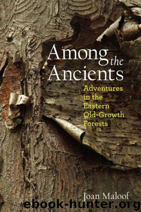 Among the Ancients: Adventures in the Eastern Old-Growth Forests by Maloof Joan