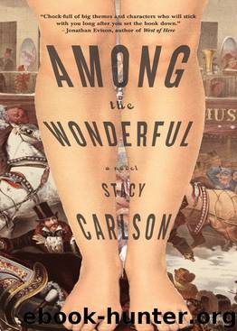 Among the Wonderful by Stacy Carlson