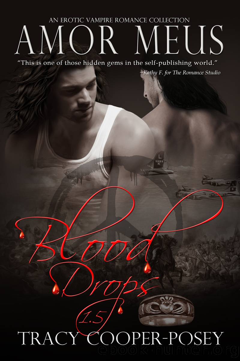 Amor Meus by Tracy Cooper-Posey