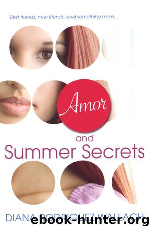 Amor and Summer Secrets by Diana Rodriguez Wallach