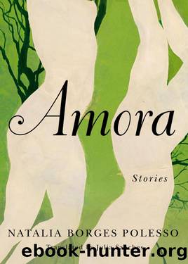 Amora: Stories by Natalia Borges Polesso