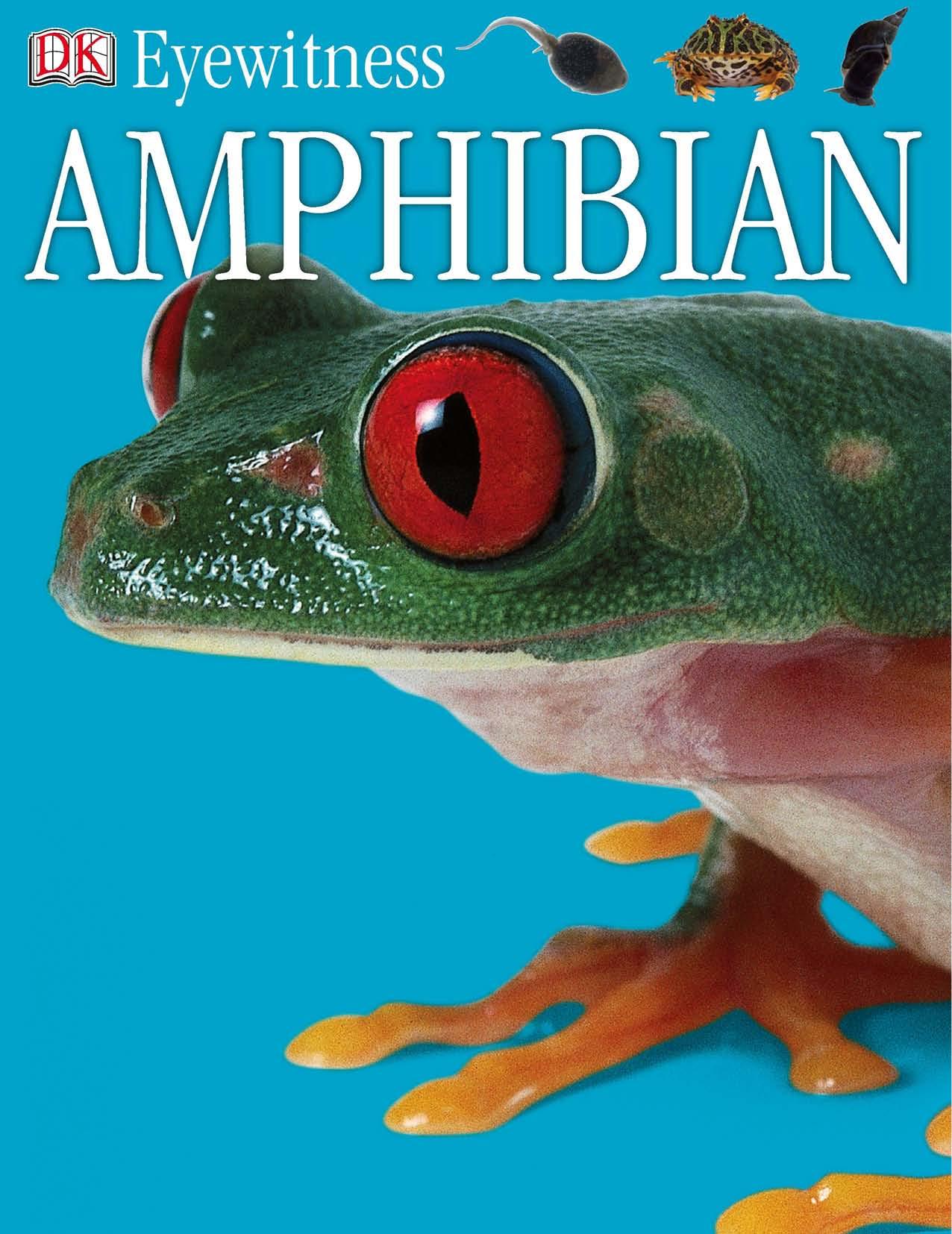 Amphibian (DK Eyewitness Books) by Barry Clarke Geoff Brightling Frank Greenaway