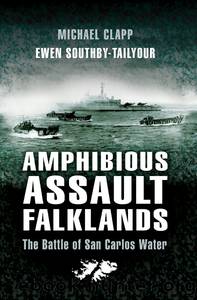 Amphibious Assault Falklands by Michael Clapp