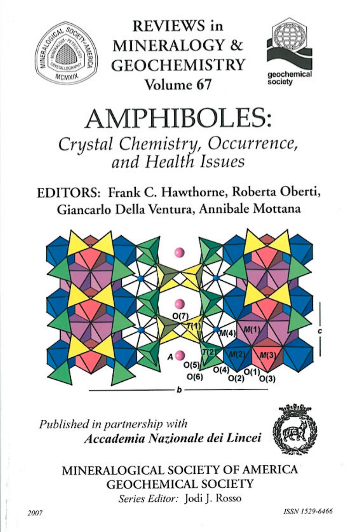 Amphiboles: Crystal Chemistry, Occurrence, and Health Issues (Reviews in Mineralogy and Geochemistry 67) by Frank C. Hawthorne Roberta Oberti Giancarlo Della Ventura Annibale Mottana