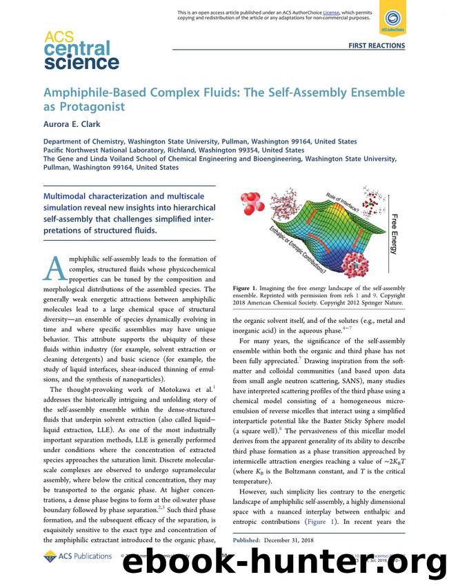 Amphiphile-Based Complex Fluids: The Self-Assembly Ensemble as Protagonist by Aurora E. Clark (ORCID: 0000-0001-9381-721X)