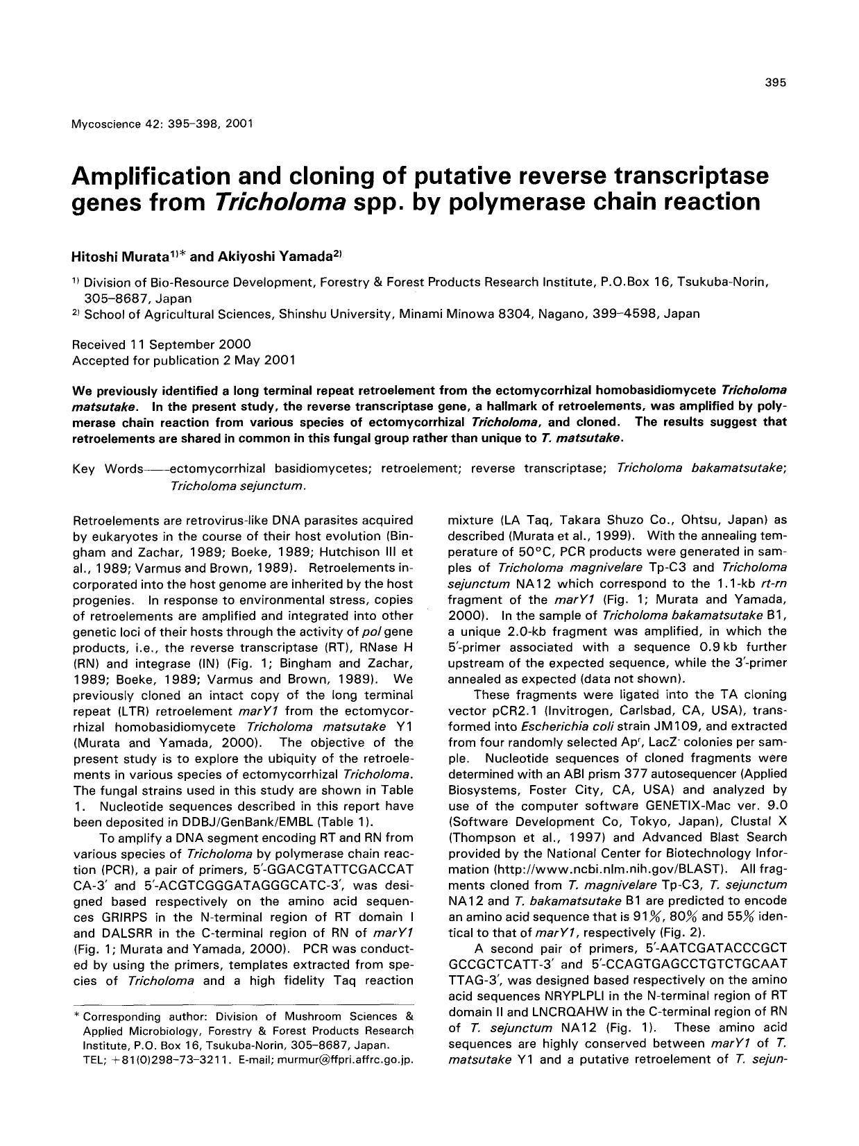 Amplification and cloning of putative reverse transcriptase genes from <Emphasis Type="Italic">tricholoma <Emphasis> spp. by polymerase chain reaction by Unknown