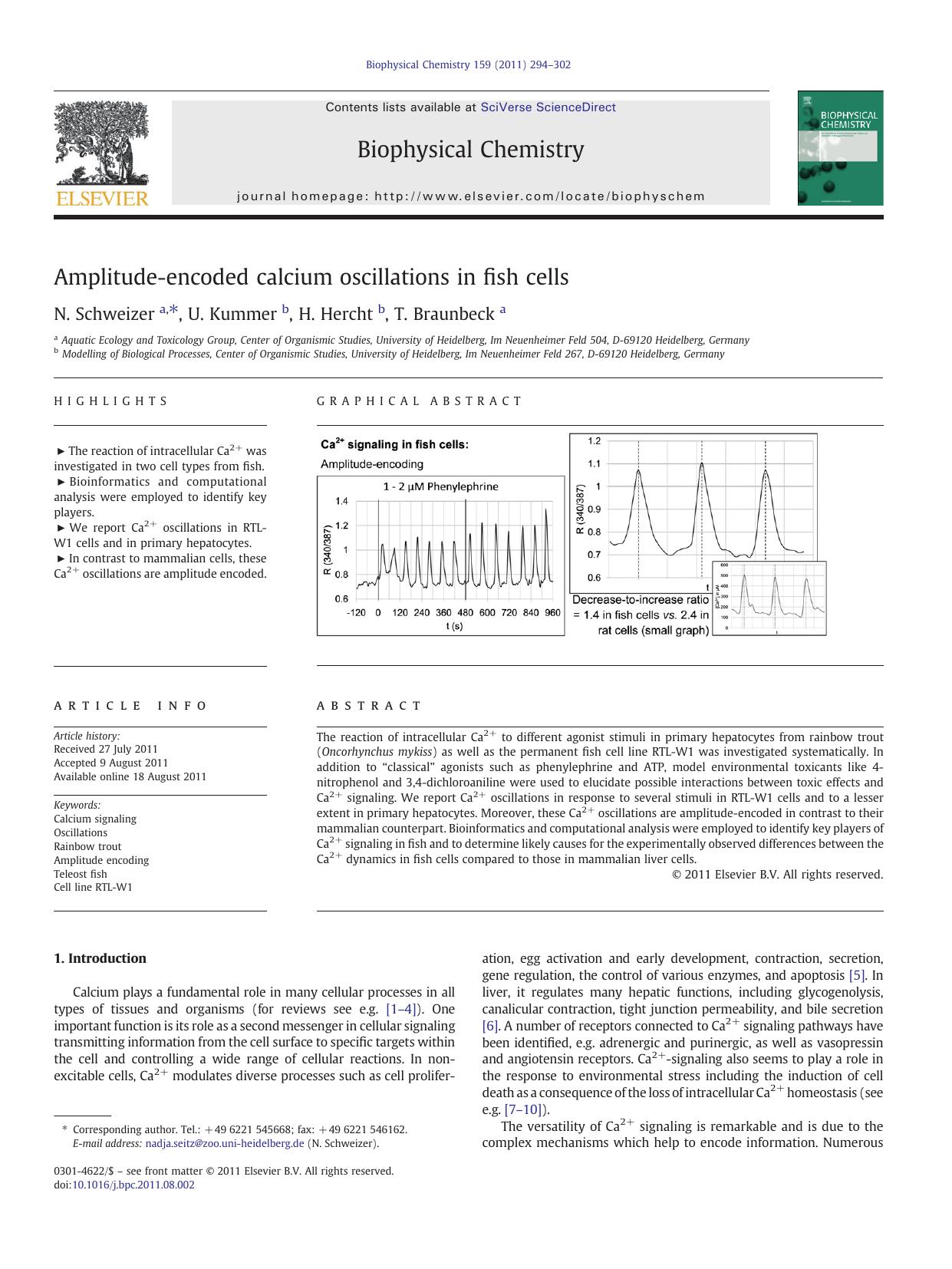 Amplitude-encoded calcium oscillations in fish cells by N. Schweizer & U. Kummer & H. Hercht & T. Braunbeck