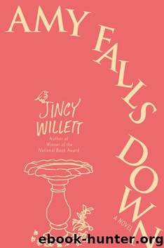 Amy Falls Down by Willett Jincy