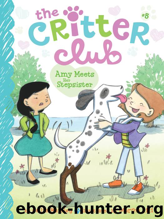 Amy Meets Her Stepsister by Callie Barkley