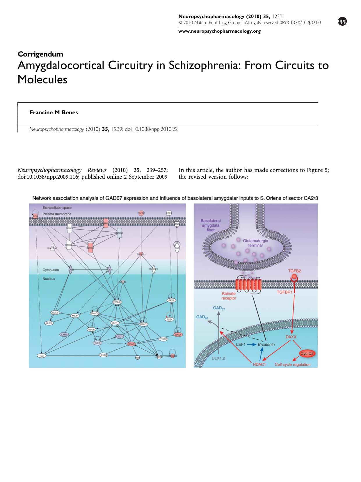 Amygdalocortical Circuitry in Schizophrenia: From Circuits to Molecules by Francine M Benes