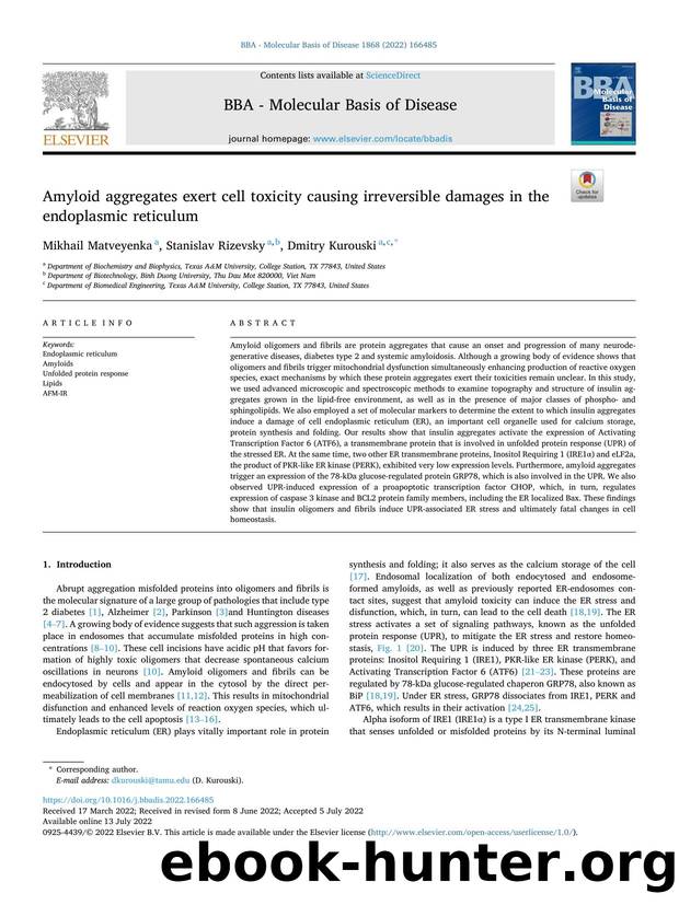 Amyloid aggregates exert cell toxicity causing irreversible damages in the endoplasmic reticulum by Mikhail Matveyenka & Stanislav Rizevsky & Dmitry Kurouski
