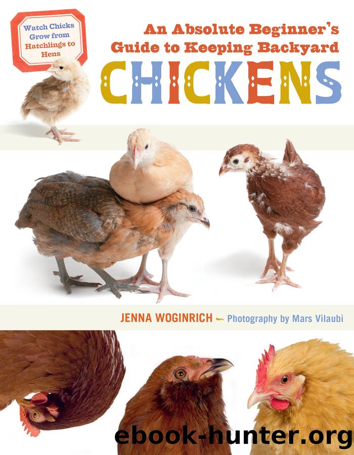 An Absolute Beginner's Guide to Keeping Backyard Chickens by Jenna Woginrich