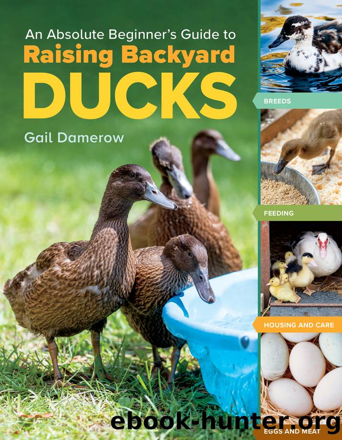 An Absolute Beginner's Guide to Raising Backyard Ducks by Gail Damerow