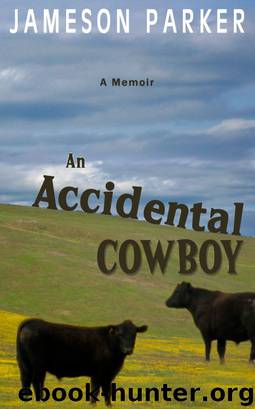 An Accidental Cowboy by Jameson Parker