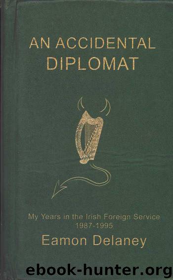 An Accidental Diplomat by Eamon Delaney