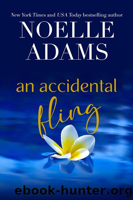 An Accidental Fling (Green Valley, #2) by Noelle Adams
