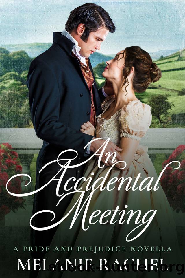 An Accidental Meeting: A Pride and Prejudice Novella (The Accidental Love Series) by Melanie Rachel