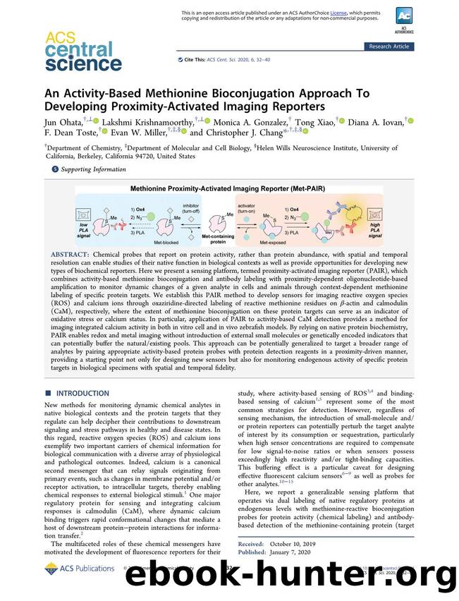 An Activity-Based Methionine Bioconjugation Approach To Developing Proximity-Activated Imaging Reporters by unknow