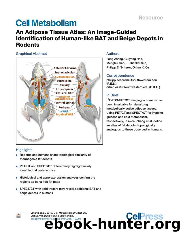 An Adipose Tissue Atlas: An Image-Guided Identification of Human-like BAT and Beige Depots in Rodents by unknow