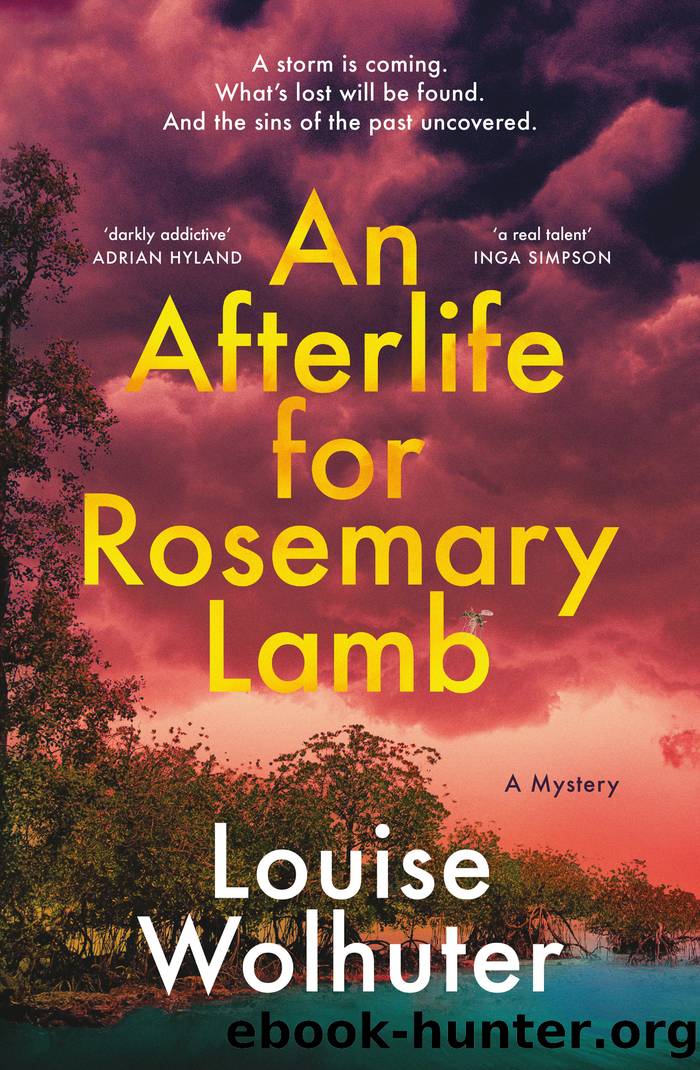 An Afterlife for Rosemary Lamb by Louise Wolhuter