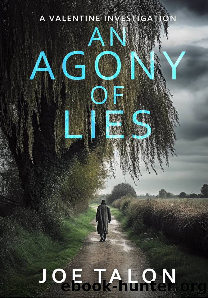 An Agony Of Lies: A British detective crime thriller from Somerset (A Valentine Investigation Book 3) by Joe Talon