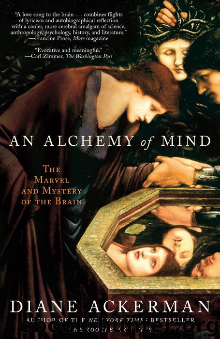 An Alchemy of Mind by Diane Ackerman
