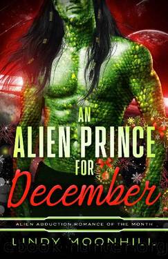 An Alien Prince for December (Alien Abduction of the Month) by Lindy Moonhill