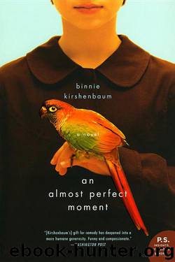 An Almost Perfect Moment by Binnie Kirshenbaum