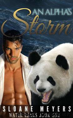 An Alpha's Storm (Water Bear Shifters 1) by Sloane Meyers