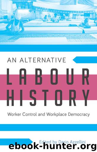 An Alternative Labour History: Worker Control and Workplace Democracy by Dario Azzellini
